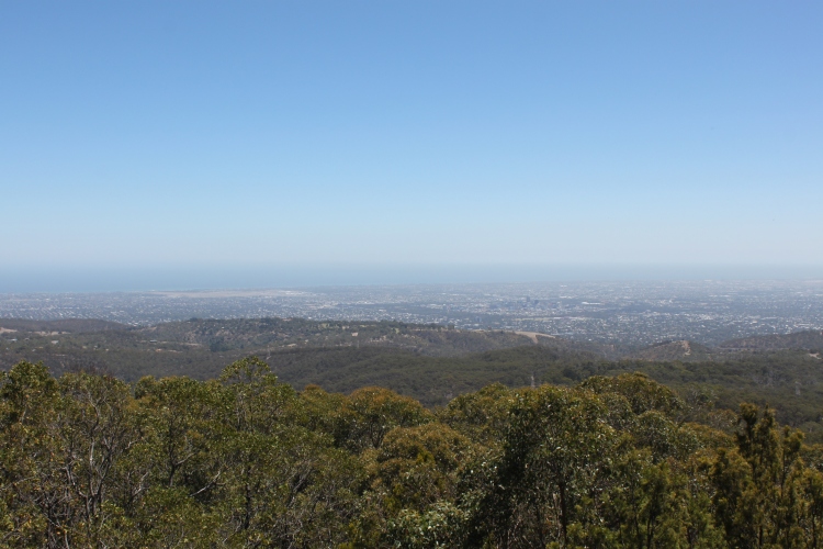 La vue des collines sur Adelaide
